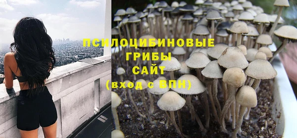эйфоретик Балахна